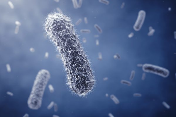 Event_antimicrobial_HCPA Event_antimicrobial_HCPA