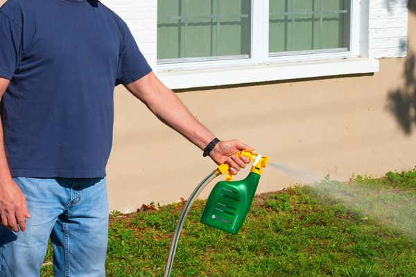 PestControl2 PestControl2